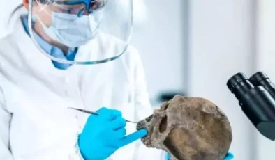 Yeni Araştırma, İnsan Soyunun Tükenişini ve Neandertallerin Rolünü Ortaya Koydu