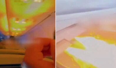 Motora kaçan küçücük hayvan neredeyse faciaya neden oluyordu